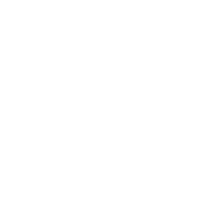Process